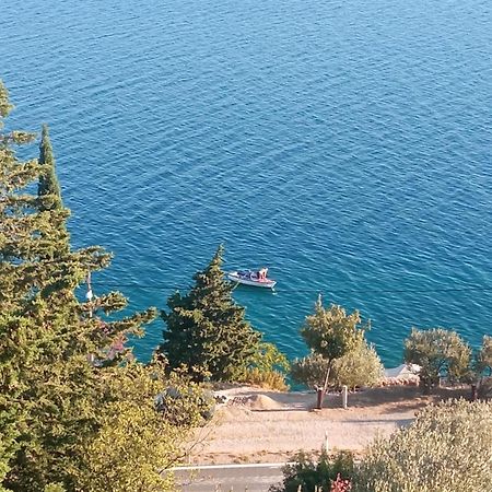 Apartment Mate Starigrad Paklenica Exterior photo